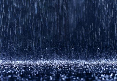 十一月的雨 - 知乎