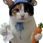 猫真的能分辨胡萝卜和纸巾吗？