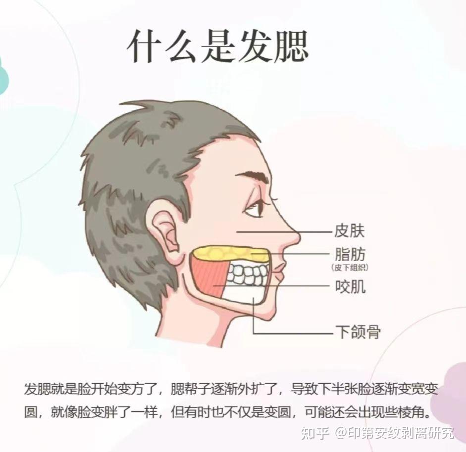 智美科普|什么是发腮及类型? - 知乎