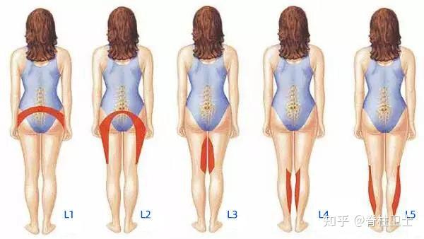 便秘腹泻,腰腹痛,性机能减退,多是腰椎第1 ,2节的神经症状表现;02