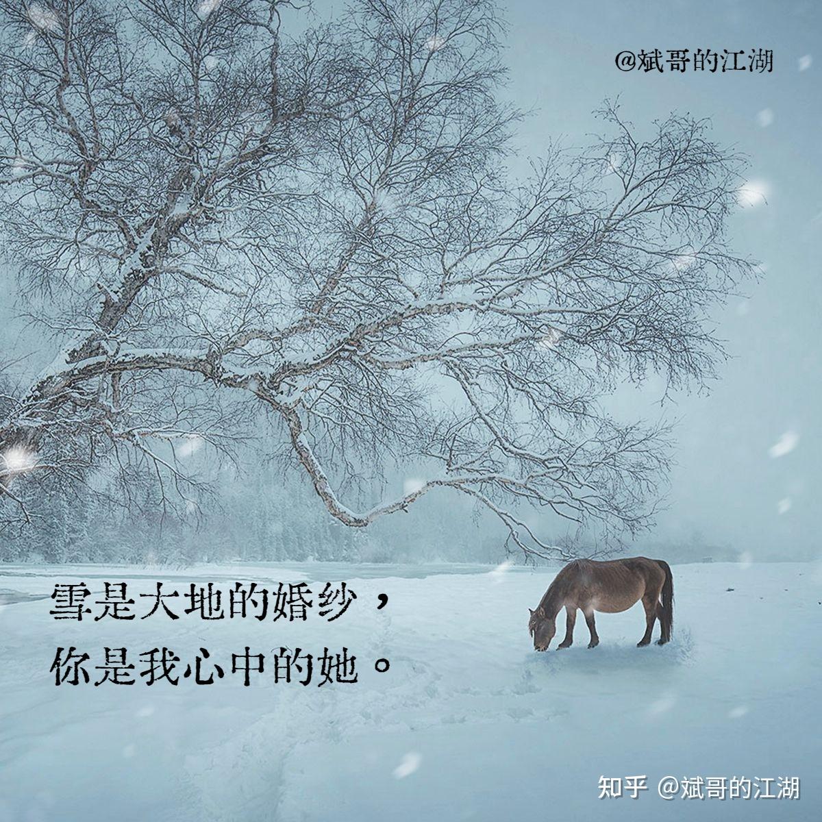 春天的雪文案图片