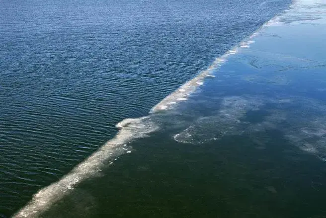 核废水排放,祸「海」无穷!