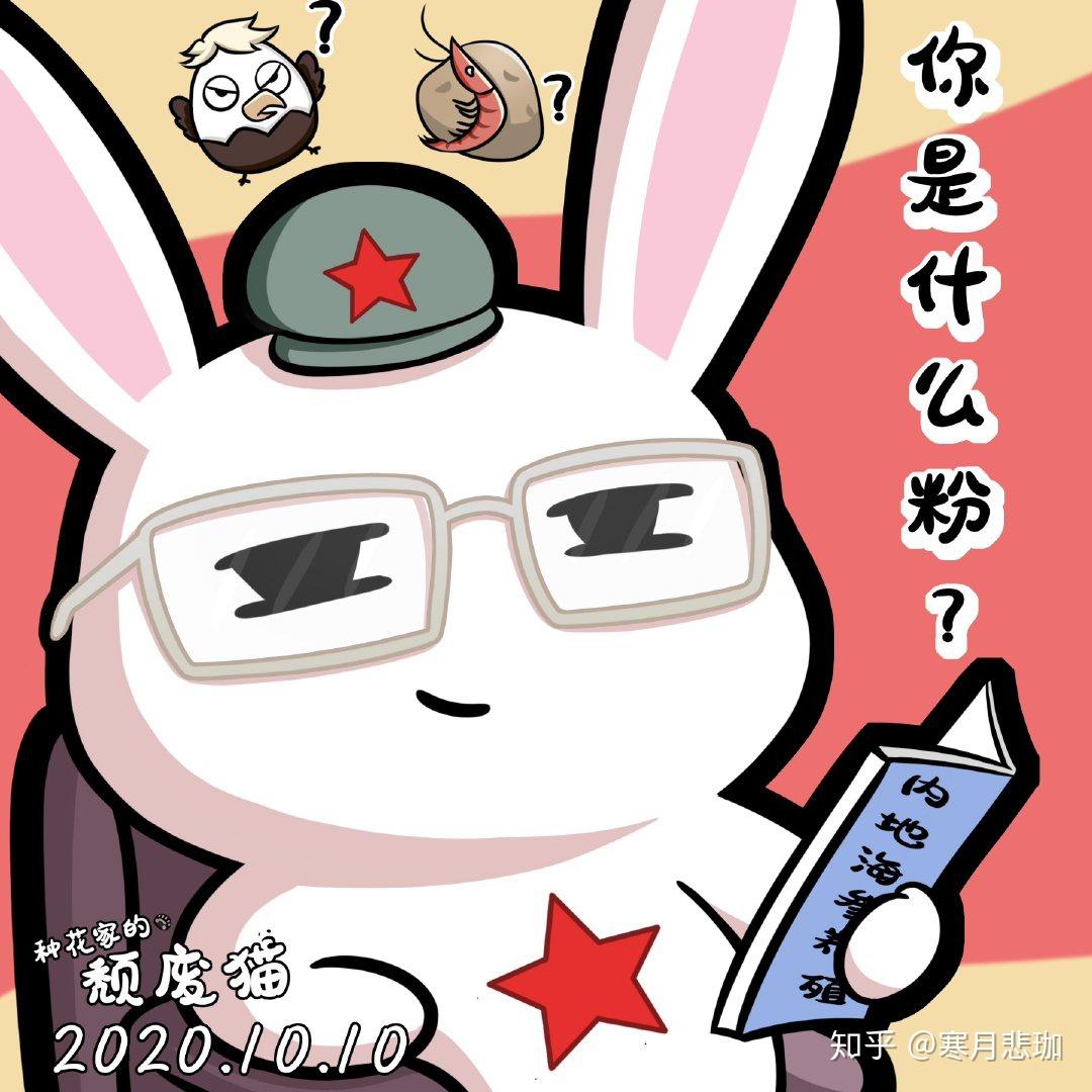 为何感觉沈逸老师越来越孤军奋战了呢?我们能做什么?