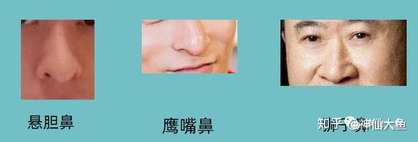面相文化之鼻相法 - 知乎
