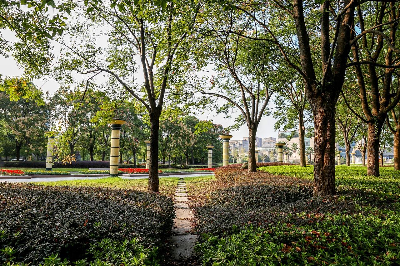 年福建卷作文优秀范文赏析与借鉴