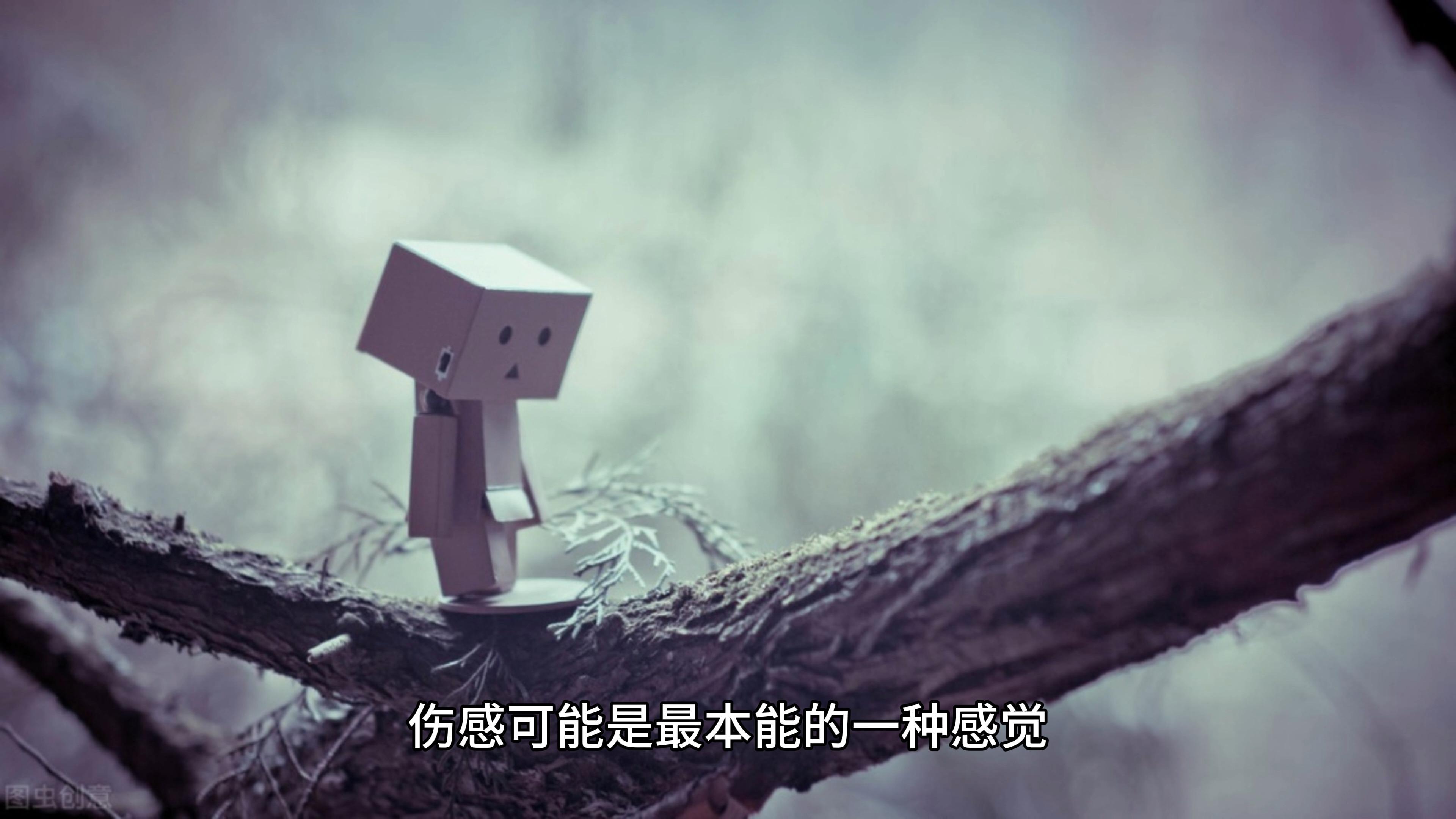 为什么会莫名的伤感