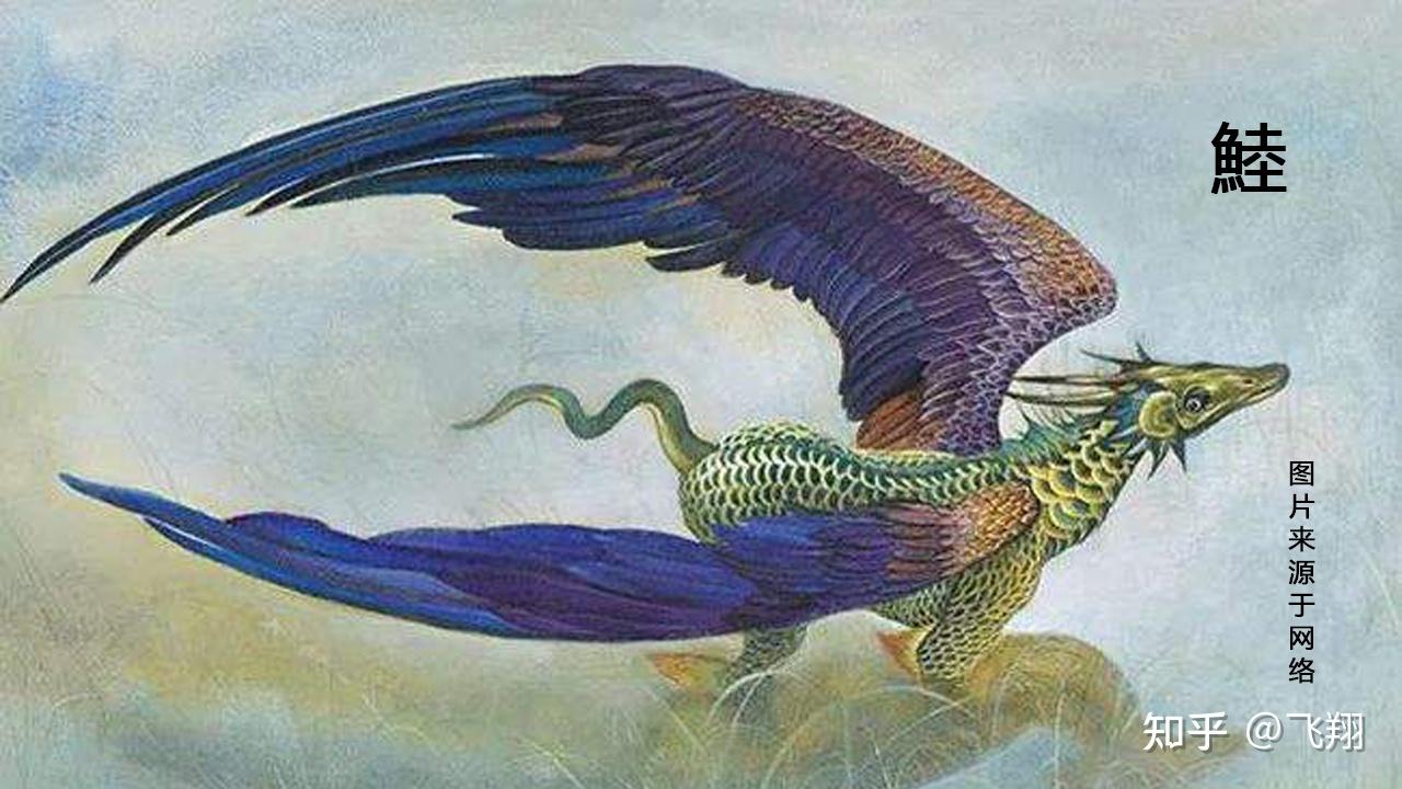 《山海经图解第七篇》:鯥 - 知乎