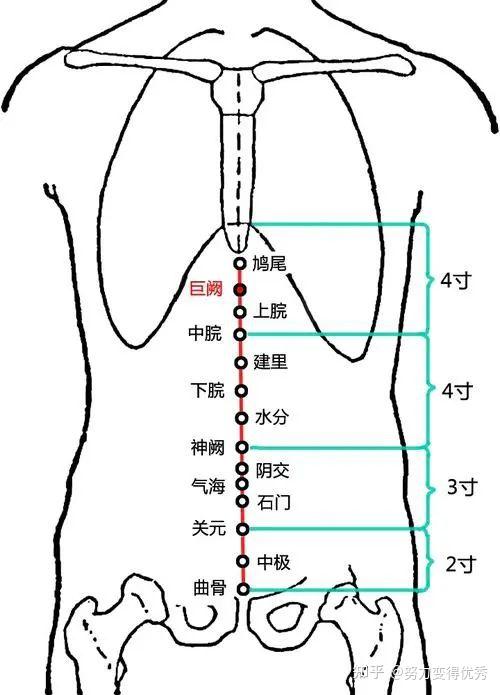 一分钟穴位大全，穴位合集，1分钟学会如何自治！ - 知乎