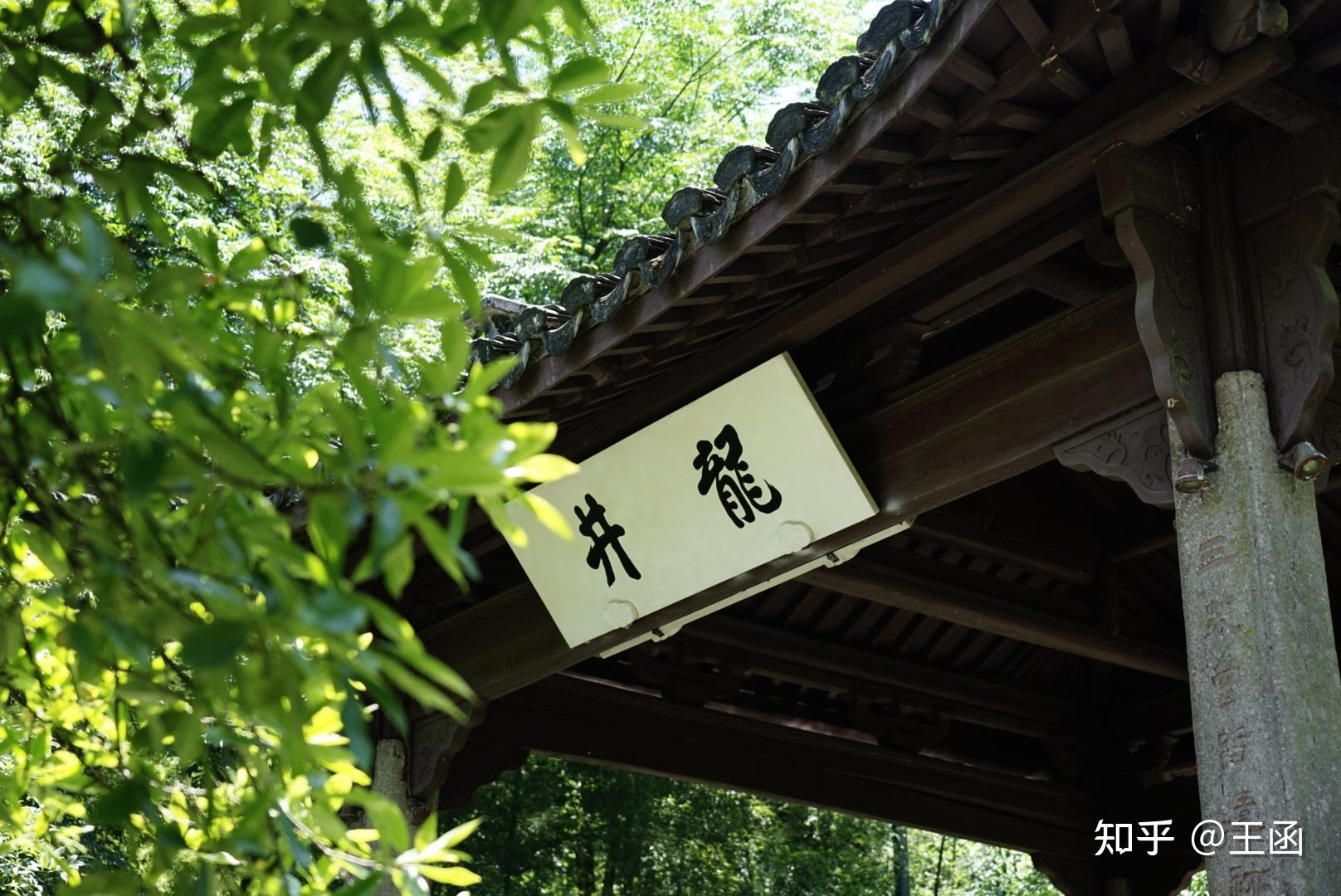 杭州黑珍珠涤心沼