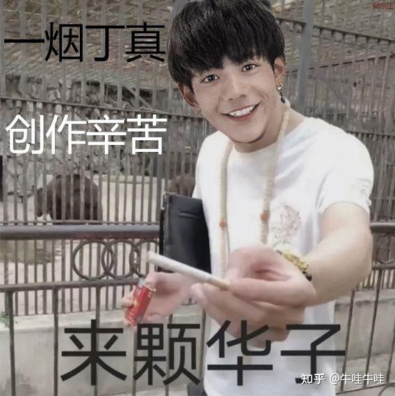 求一眼贴吧丁真表情包