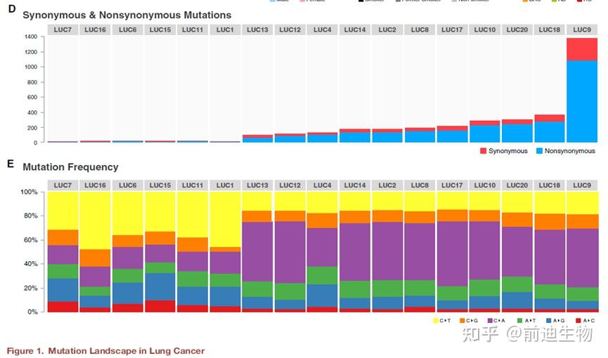 Genomic Landscape of Non-Small Cell Lung Cancer in Smokers and Never ...