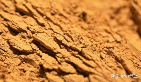 软黏土中的典型案例上海软土