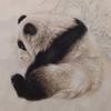 国画教学欣赏