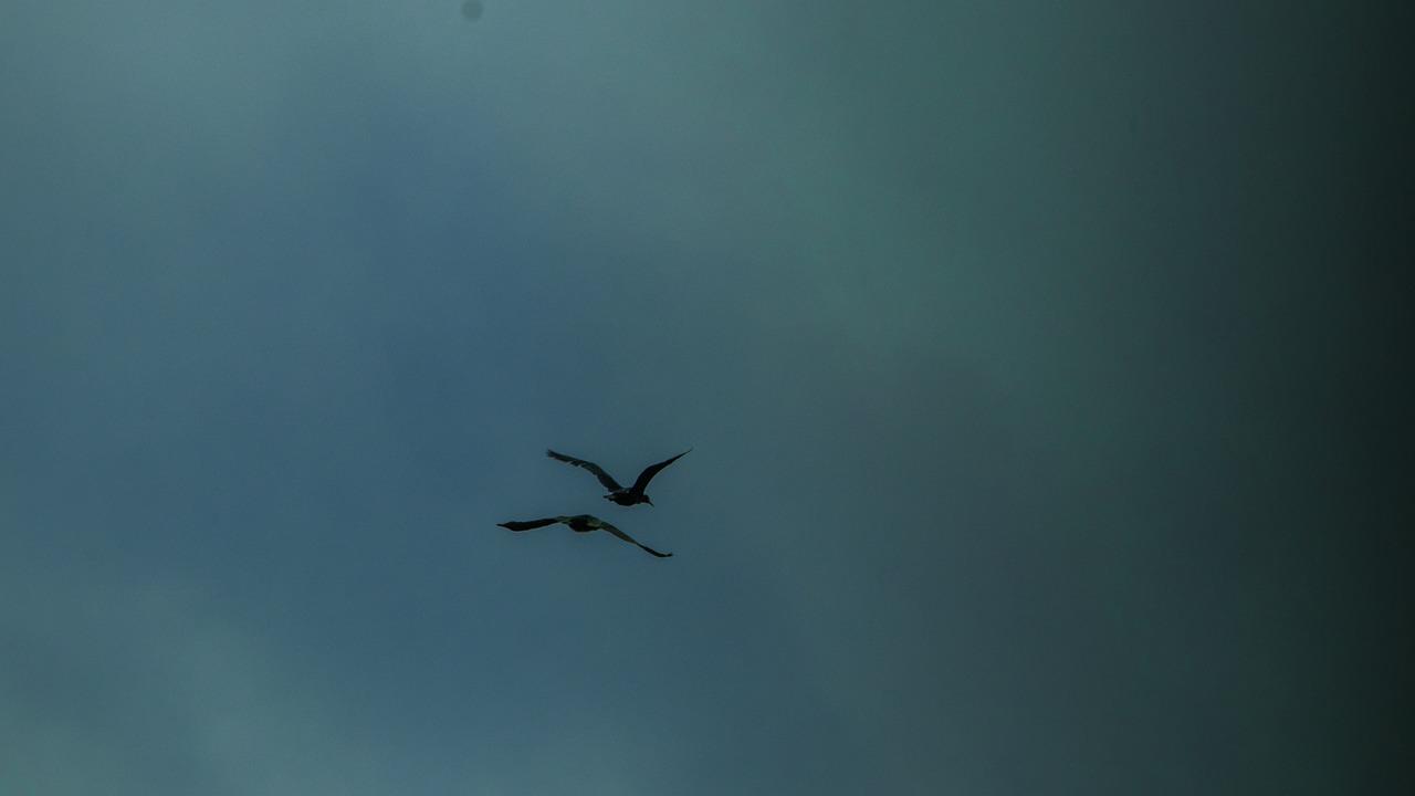 4. 通风换气技巧