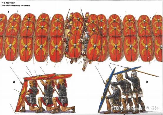 古罗马军队龟形阵小考关于testudo的几个问题
