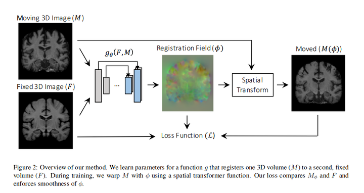 Unsupervised Deformable Medical Image Registration - 知乎