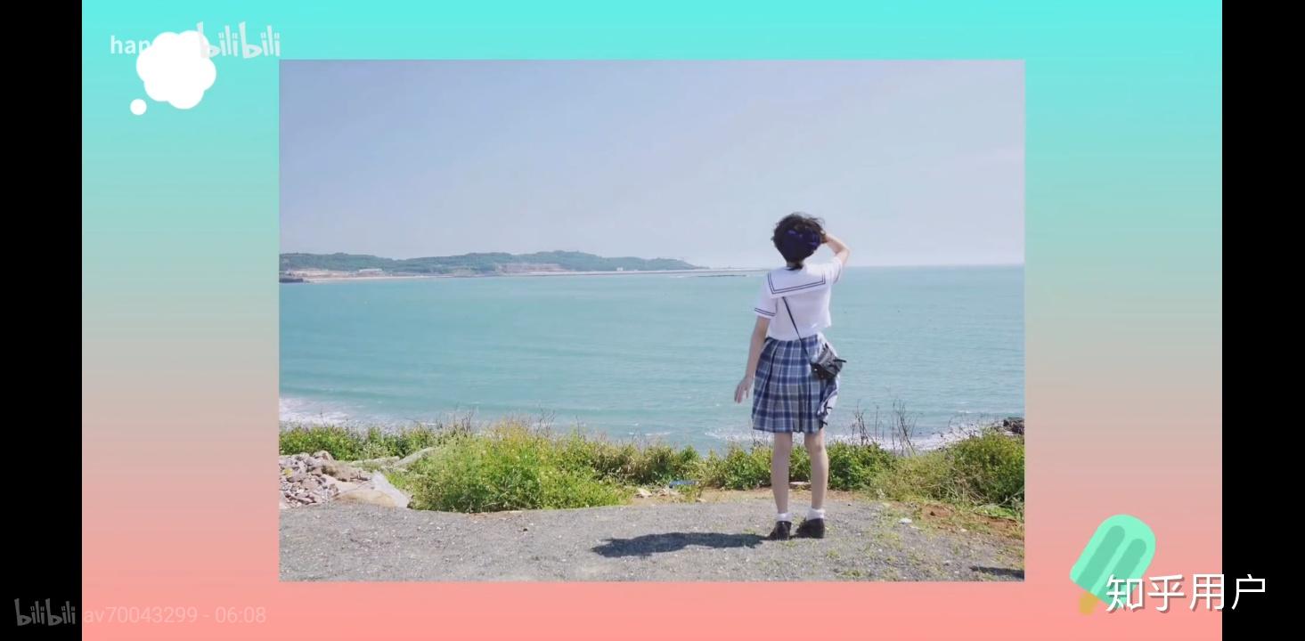 hanser长什么样子?