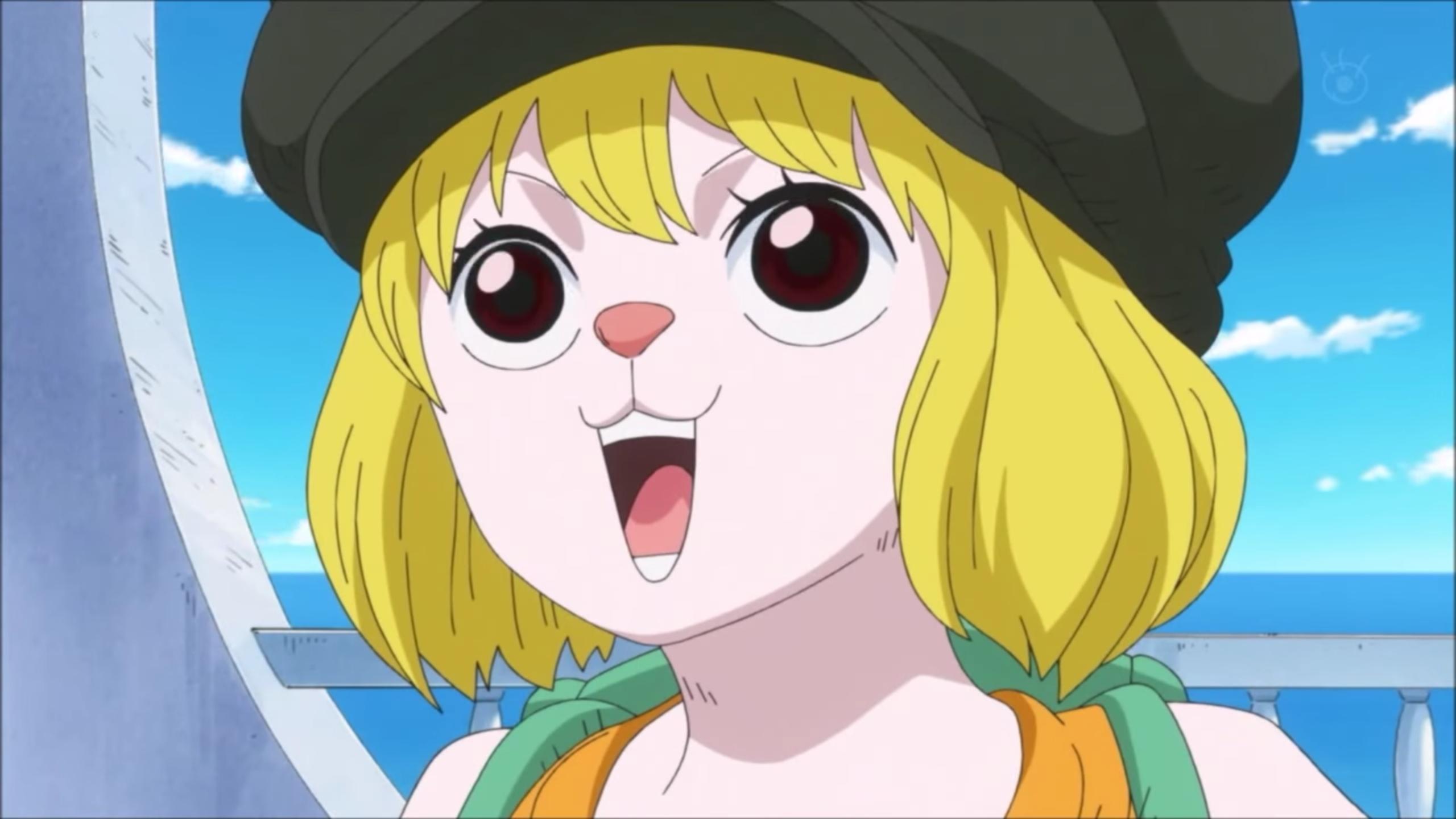 海贼王里加洛特这么萌,为什么找不到好看的壁纸呢? - 知乎