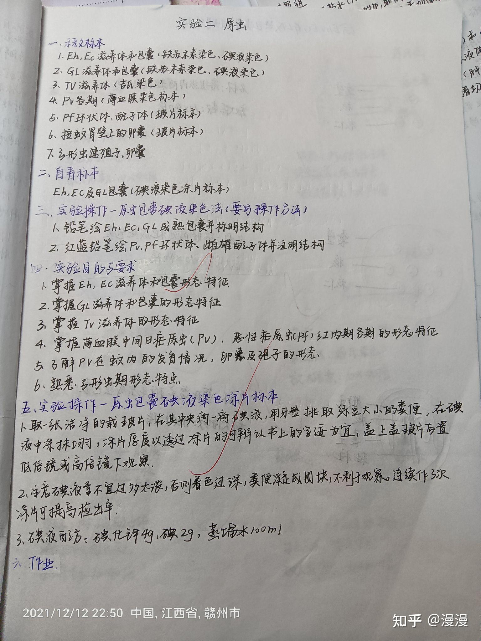 人体寄生虫实验报告