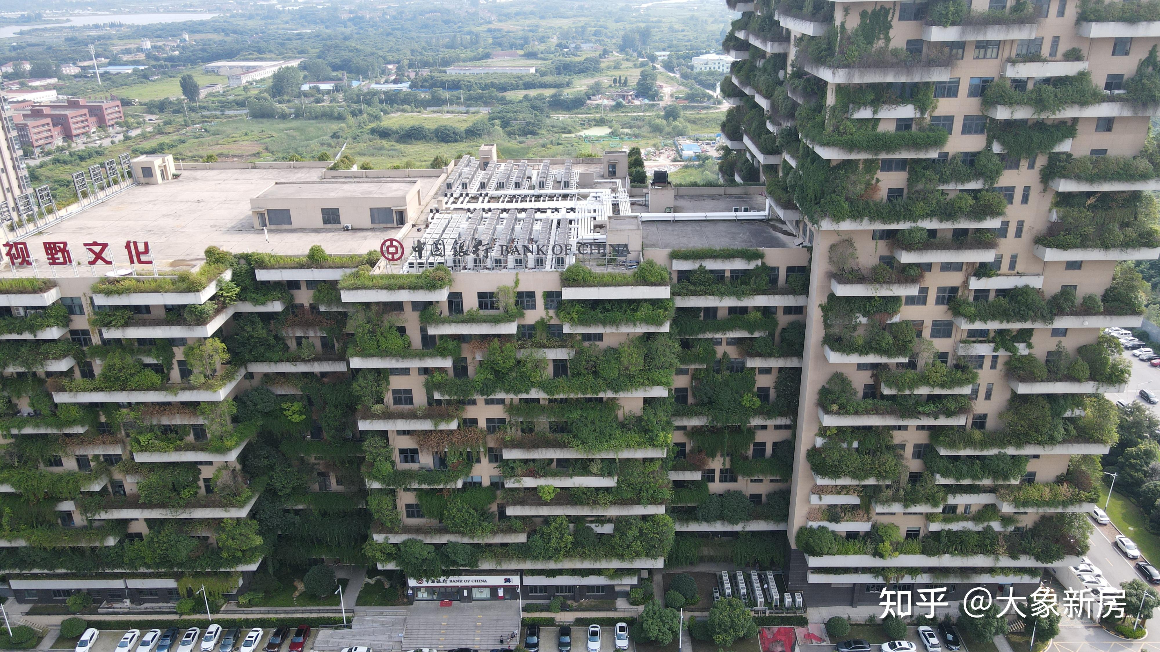 碧桂园总部大楼地址图片