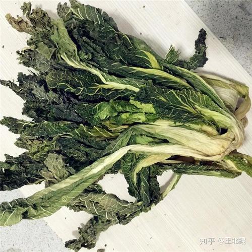 你家花的100种死法 知乎