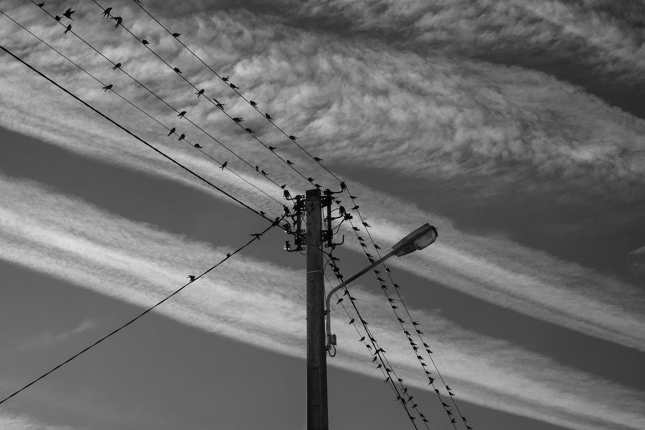 强电箱线多少钱