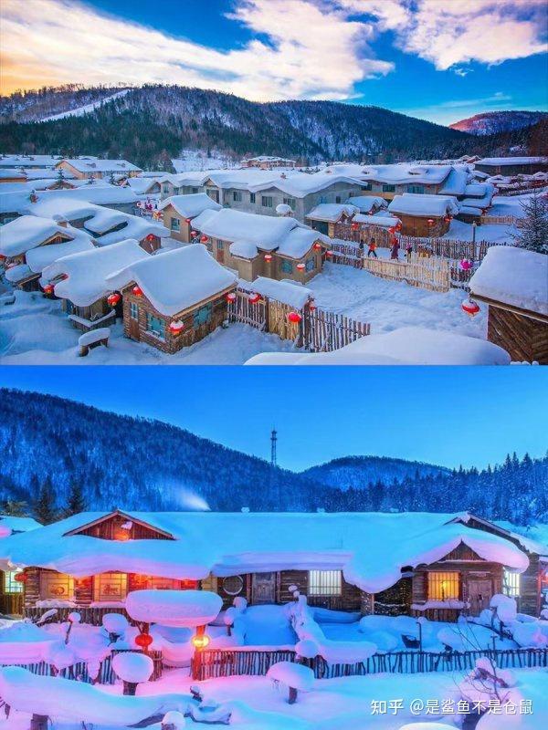 哈尔滨雪乡旅游攻略分享——耐心看完让你在哈尔滨雪乡的旅途少走弯路