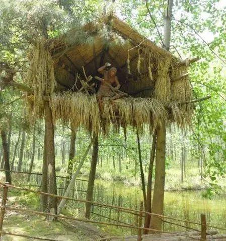 有圣人作,构木为巢,以避群害,而民悦之,使王天下,号有巢氏.