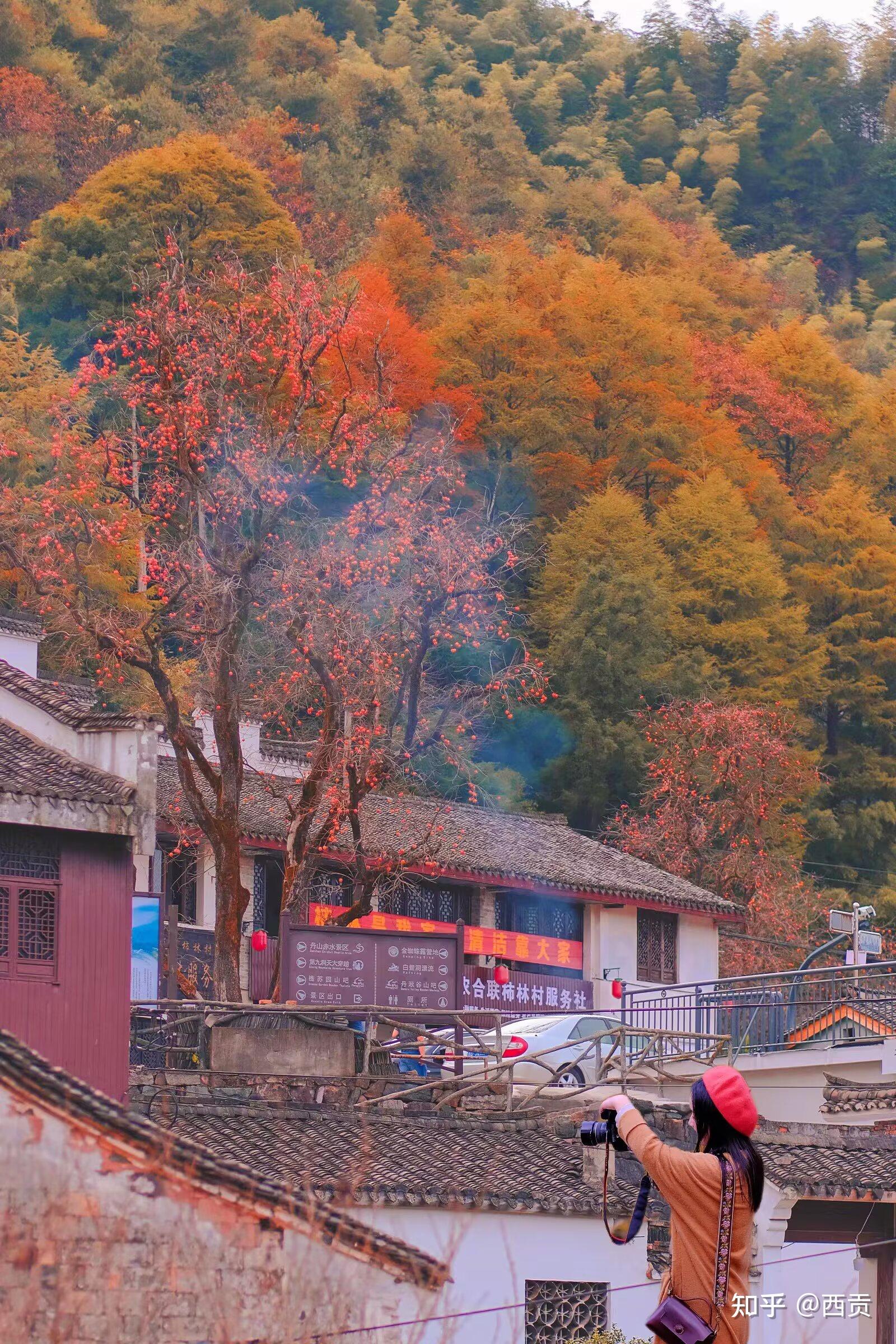 小众旅游地推荐(值得一去的小众旅行地)