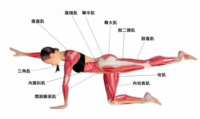 v2-60b1a4a09a8d45012c569d63fbb5f76a_1440w.jpg?source=172ae18b
