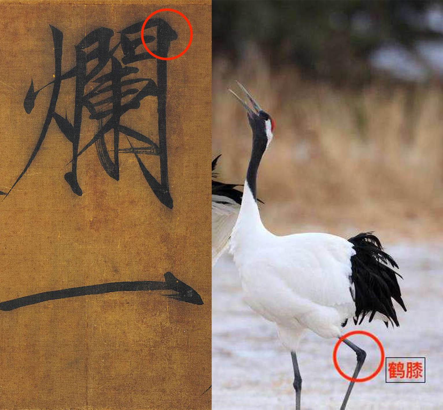 被诅咒的瘦金体