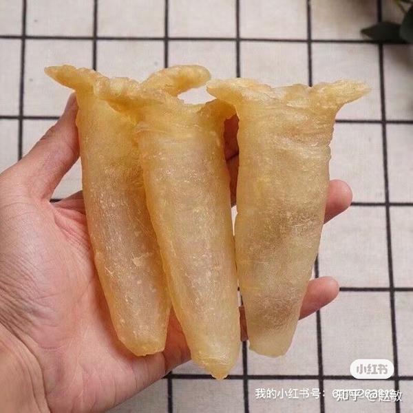 如何选择鱼胶花胶? - 知乎