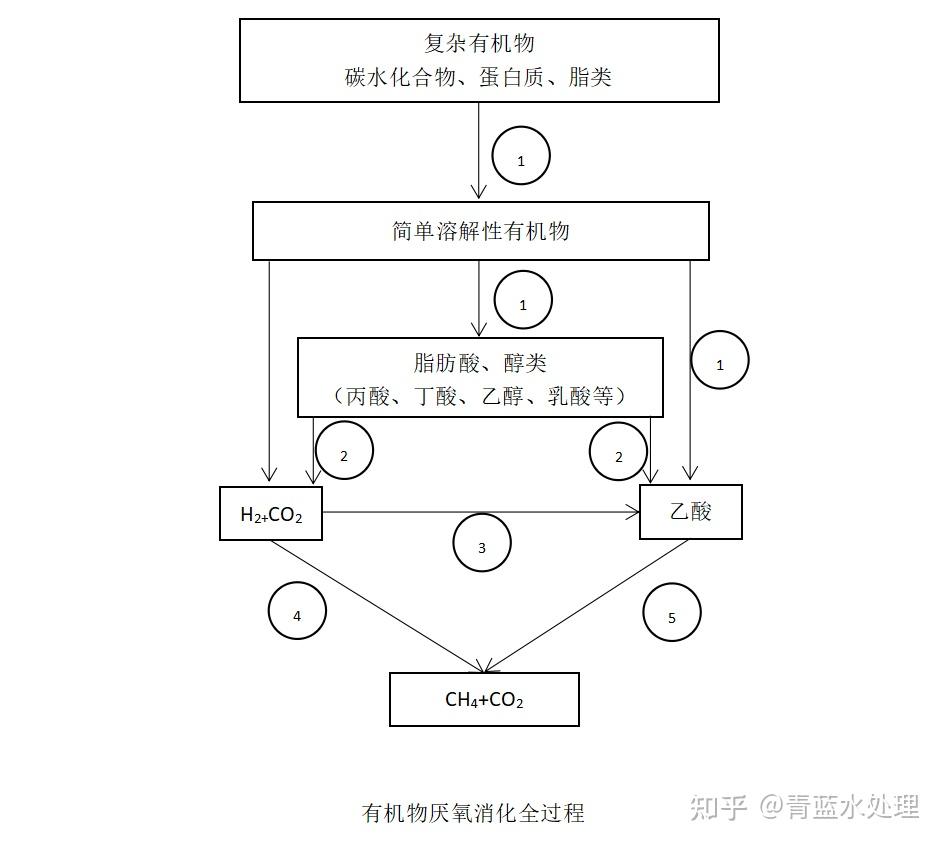 目前普遍为人接受的观点,它提出厌氧消化是在四个微生物菌群(水解菌群