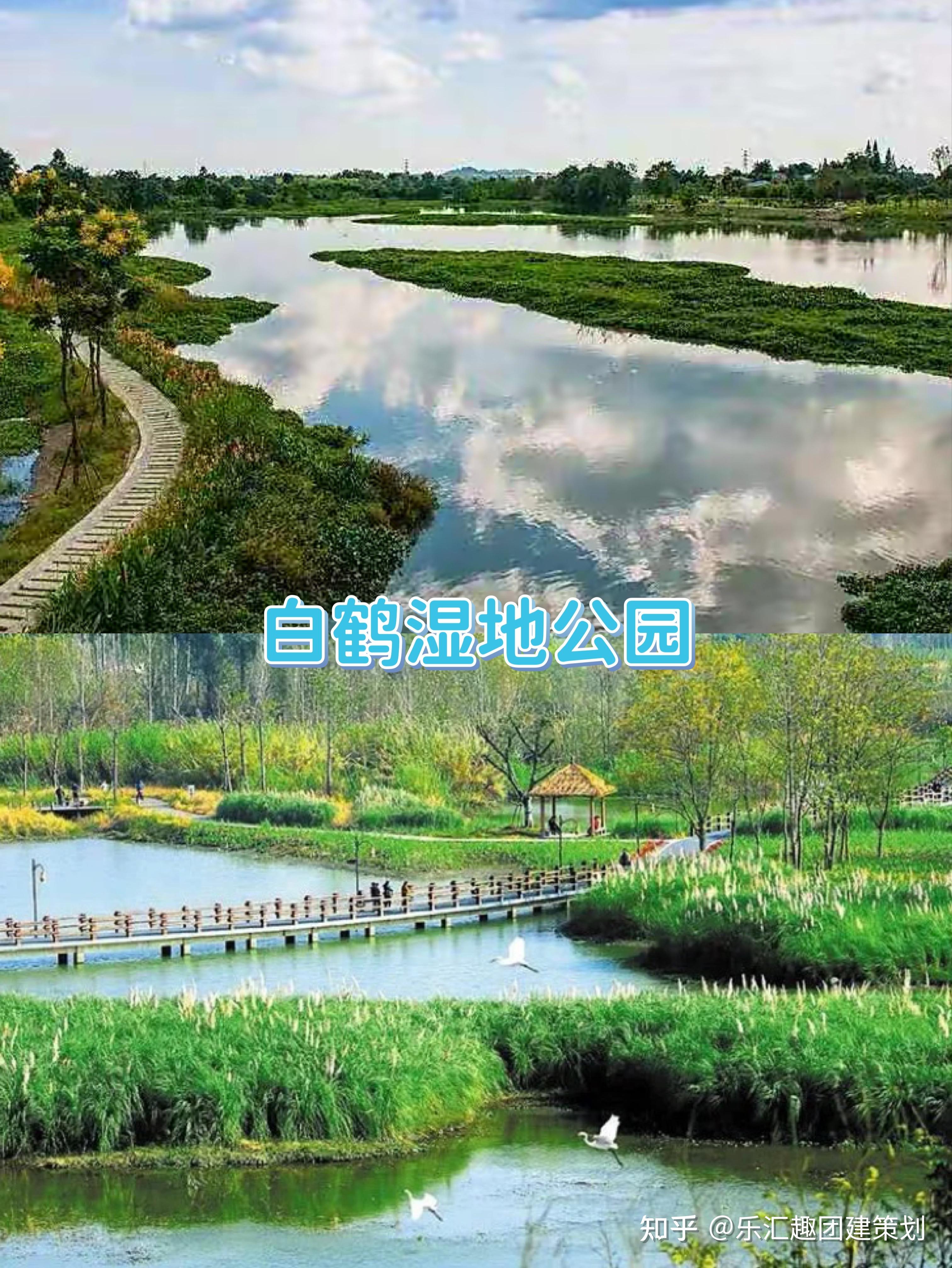 成都团建白鹤滩湿地公园1日行程规划方案