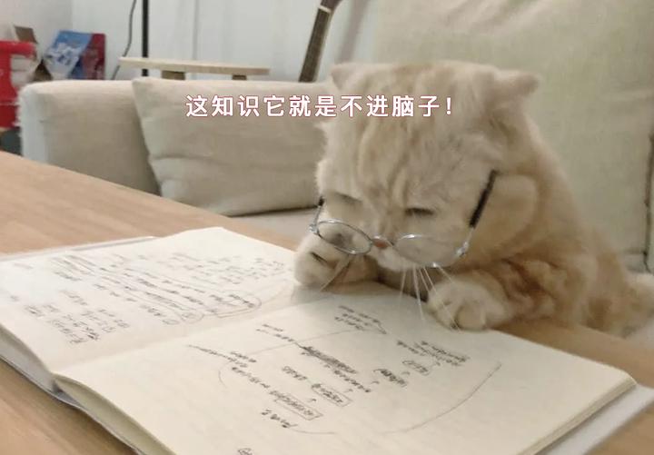 有哪些万能的作文题目 知乎