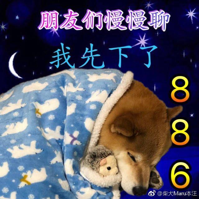 能把你手机里的柴柴表情包都交出来吗? - 知乎