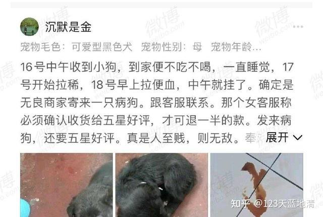 宠物盲盒是什么如何看待网上的活体宠物塞进盲盒事件的危害简直丧尽