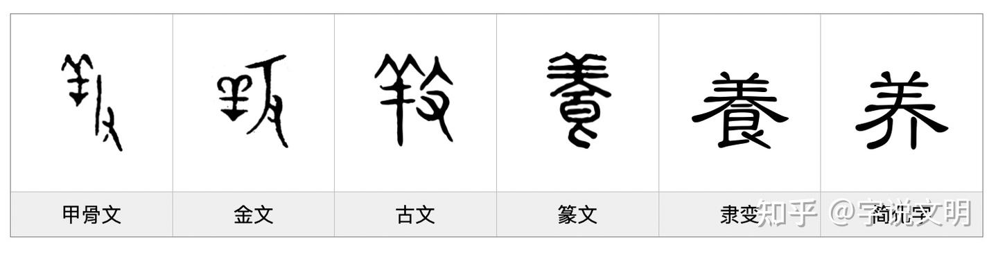 養——每日一字·食部字 - 知乎