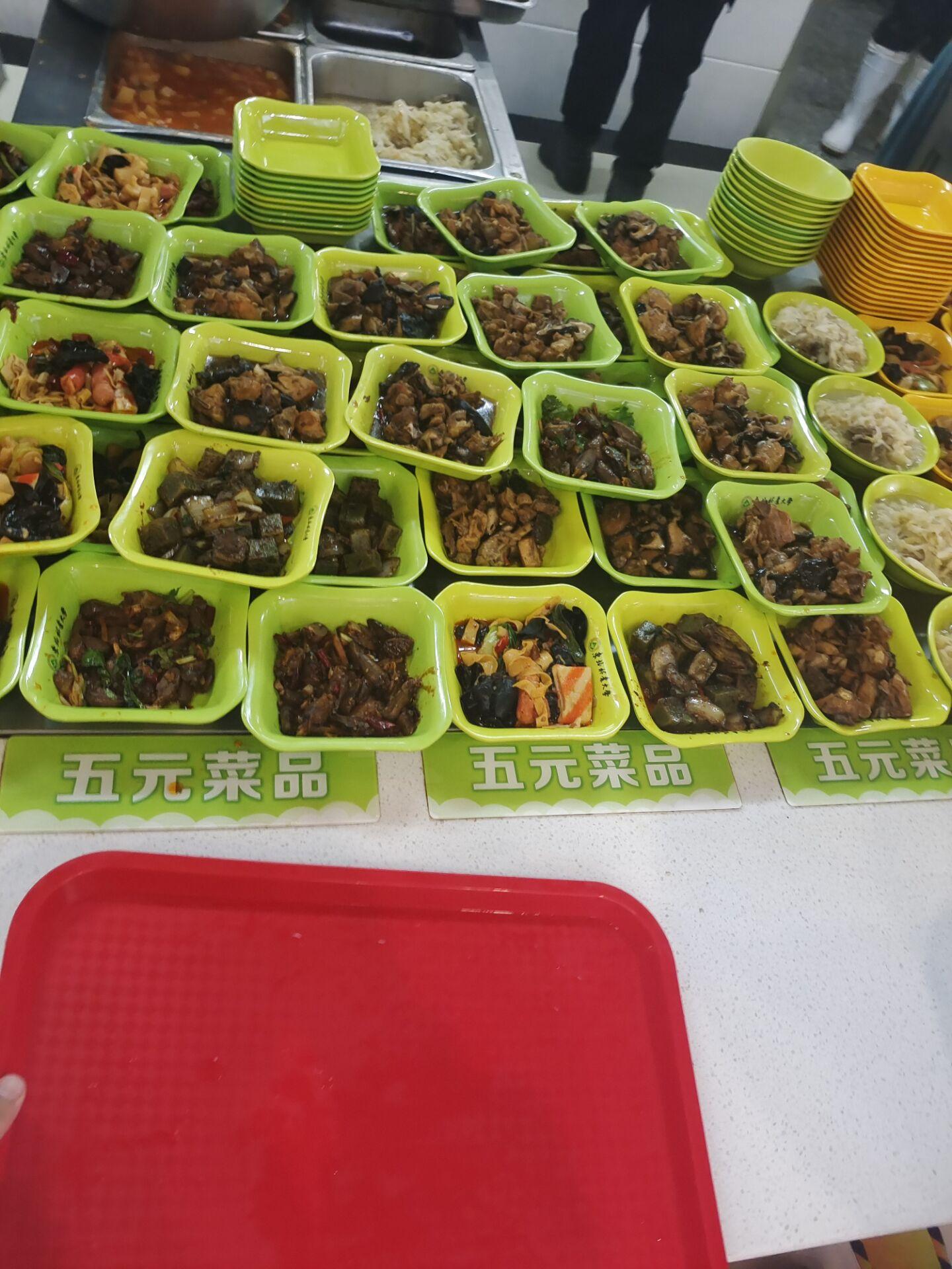 在东北林业大学里就餐是一种怎样的体验?有什么推荐的食堂和美食?
