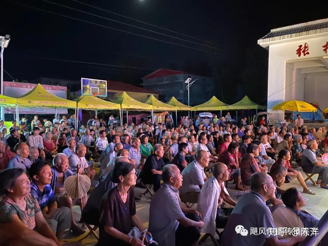 大桥鸡精2020送戏下乡首场活动在驻马店平舆县张柏坟村开幕