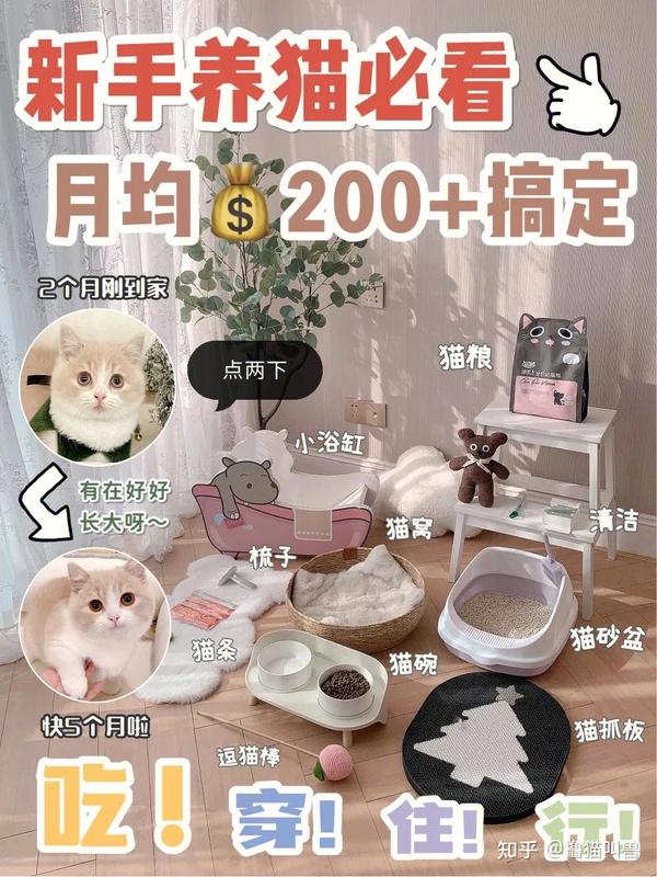 穷养长大的猫🐱吃穿住行 200元全搞定💯 知乎