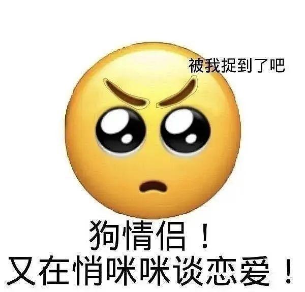 磕cp专用表情包第三弹