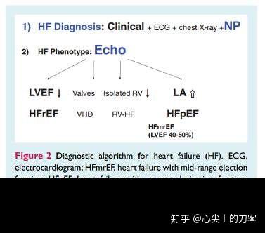正确认识脑钠肽 读懂心衰 知乎