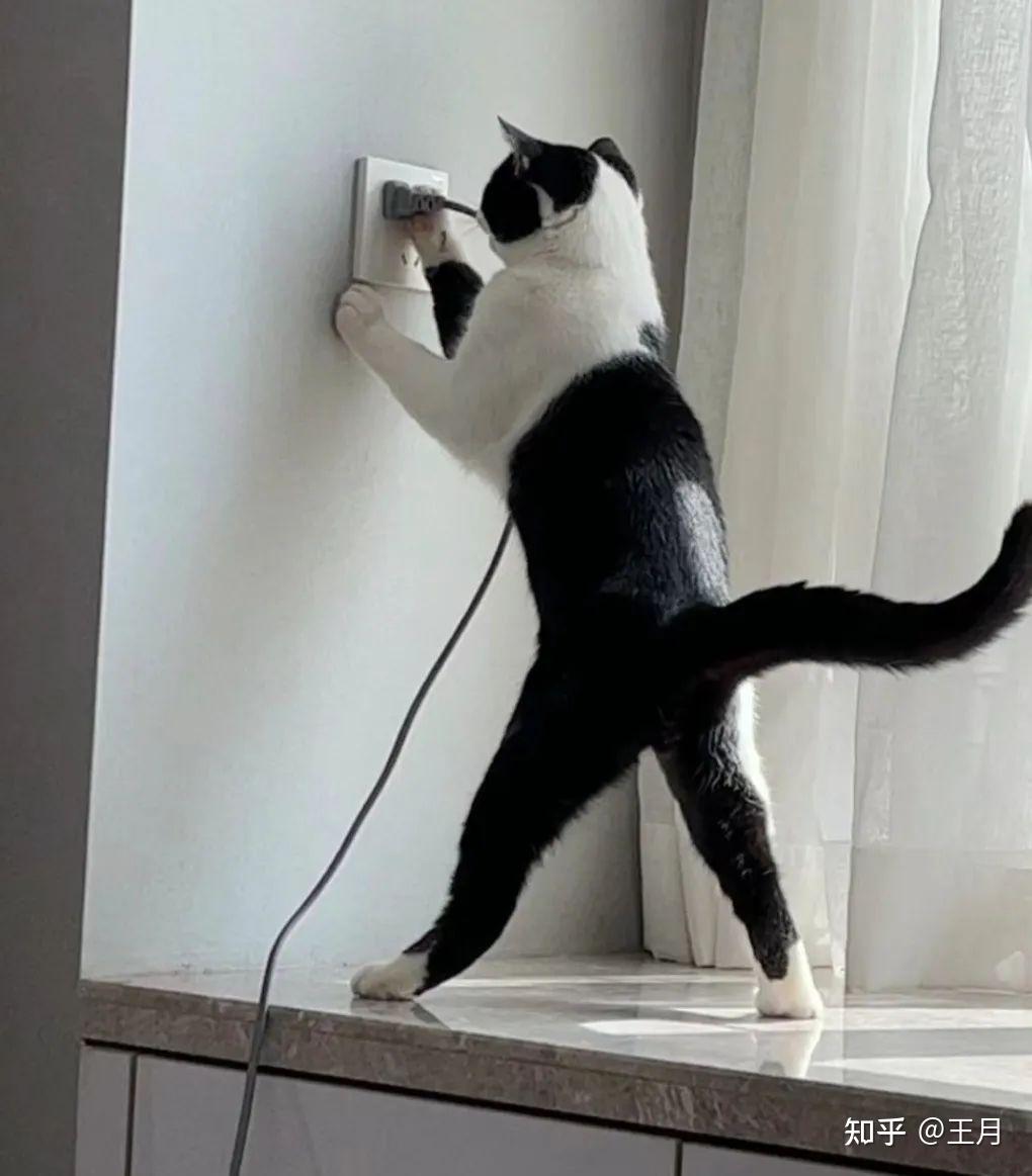 如何看待李跳跳手机软件作者收到律师函被指构成不正