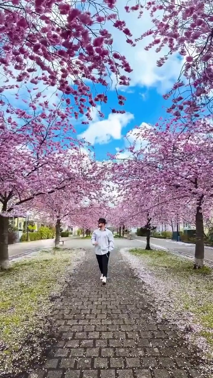 拍照小技巧~ 不管是拍风景照,还是拍城市街道、情侣自拍...都可以参考一下哦!
