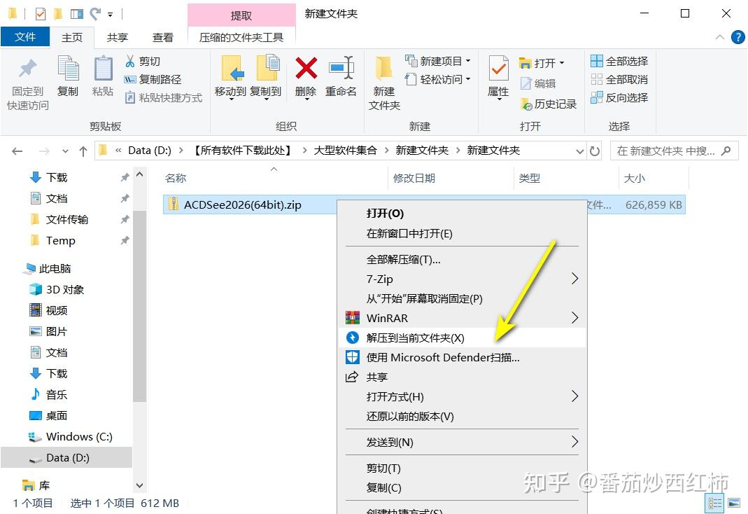 2026最新版ACDSee安装教程,程不用复杂配置,打开直接秒开RAW图