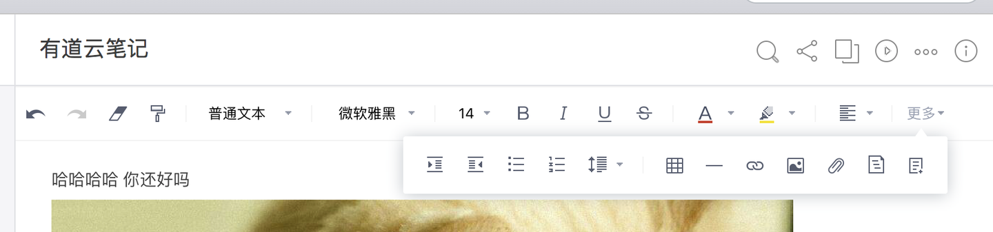 如何看待有道云笔记这款软件 - 知乎