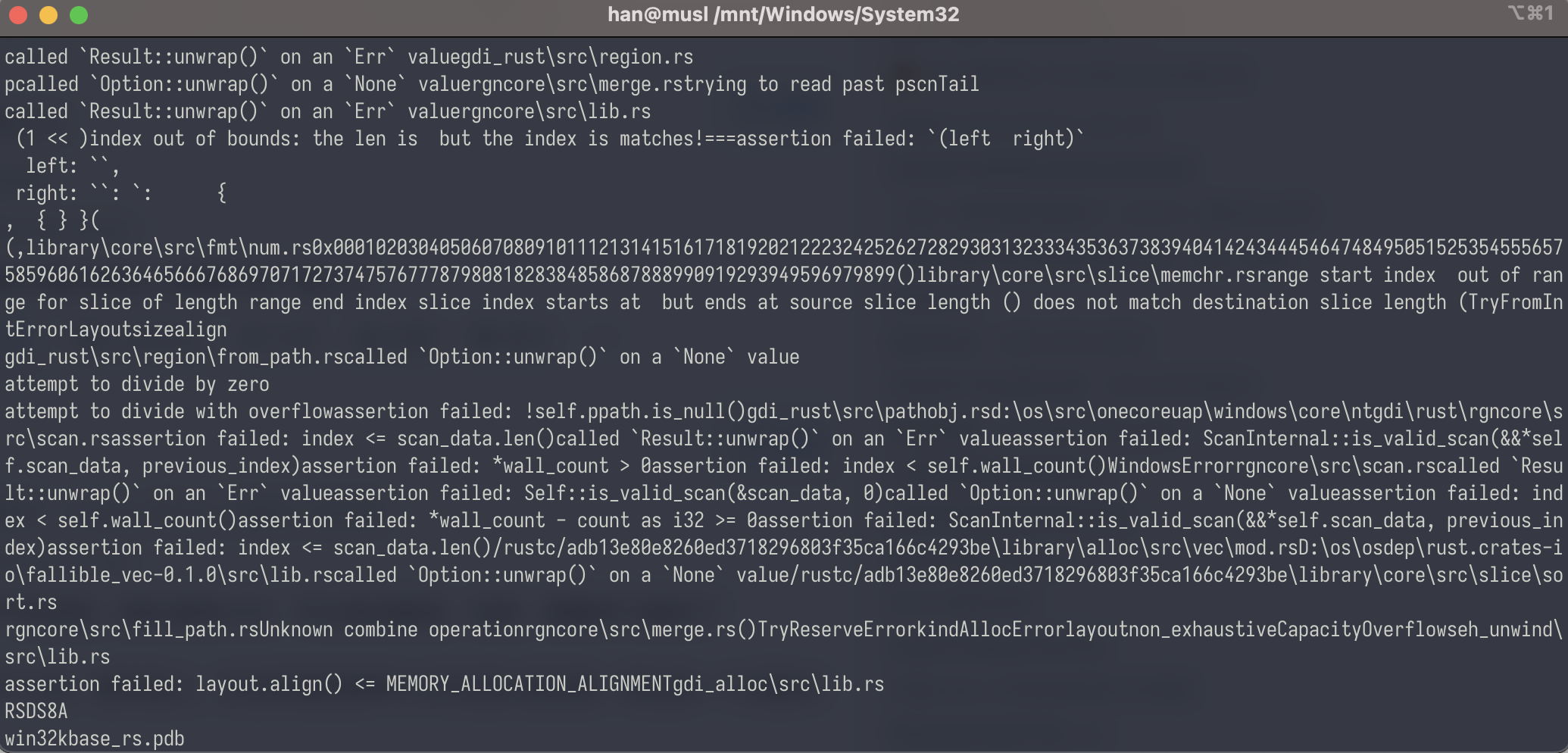 Rust win11 