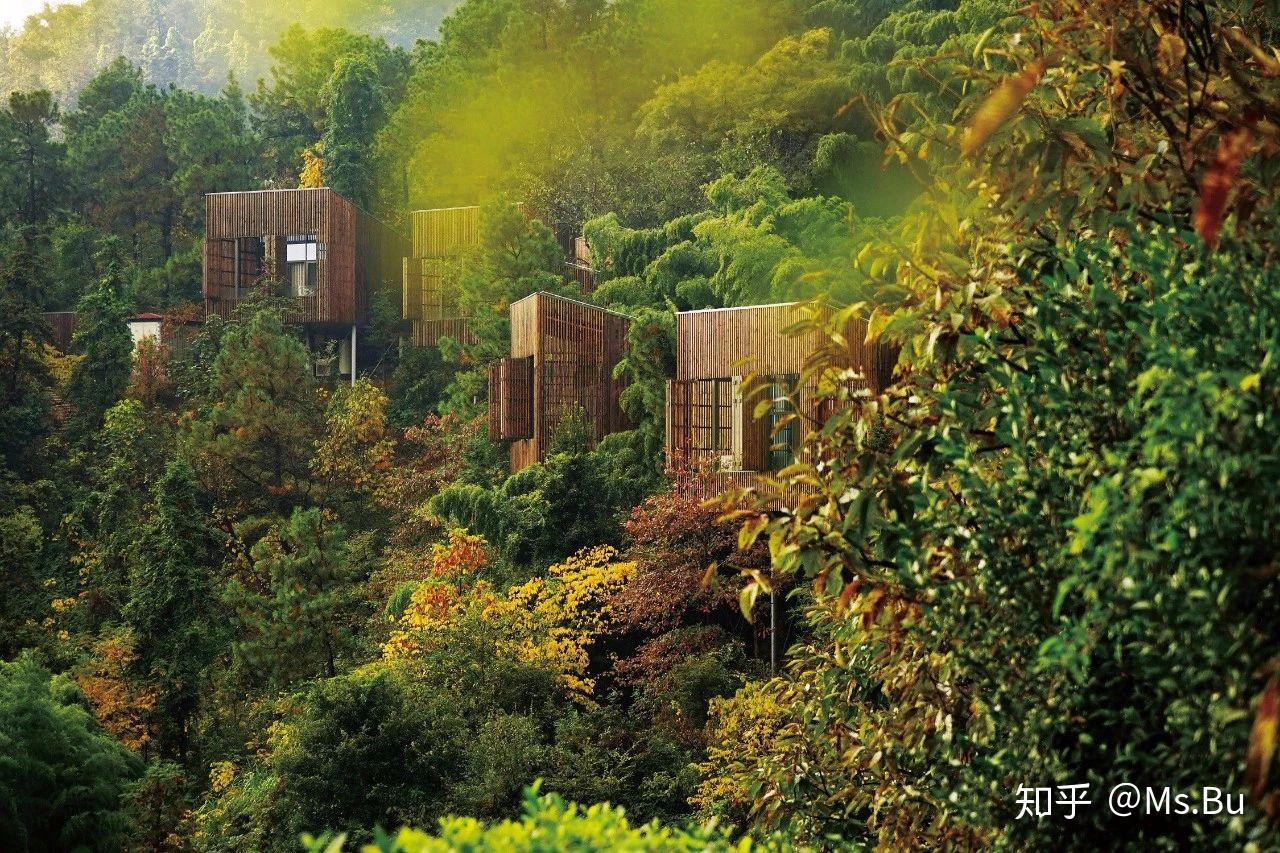 隐藏在树林中的酒店设计，感受自然的芬芳-易美居