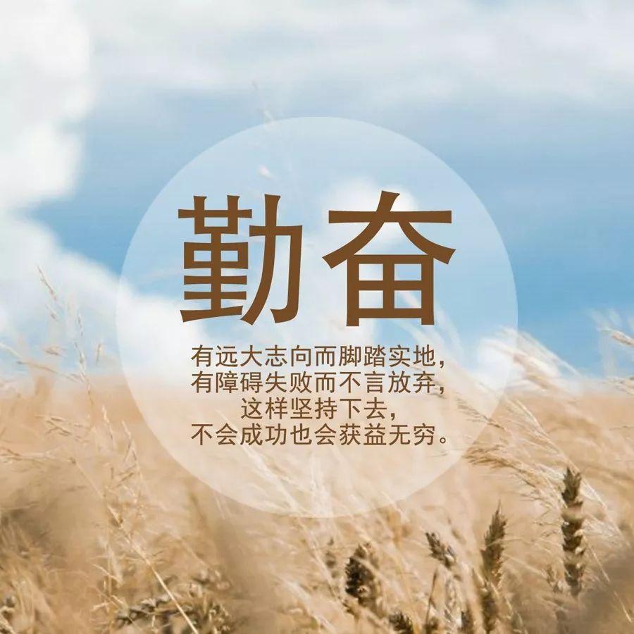 你有哪些保持阳光心态的正能量句子